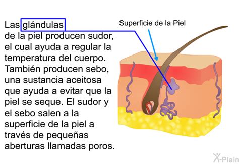 PatEdu Quemaduras