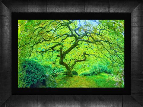 Peter Lik Tree Style Fine Art Landscape Photography Print By Etsy