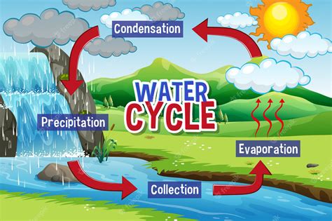 water cycle - Clip Art Library