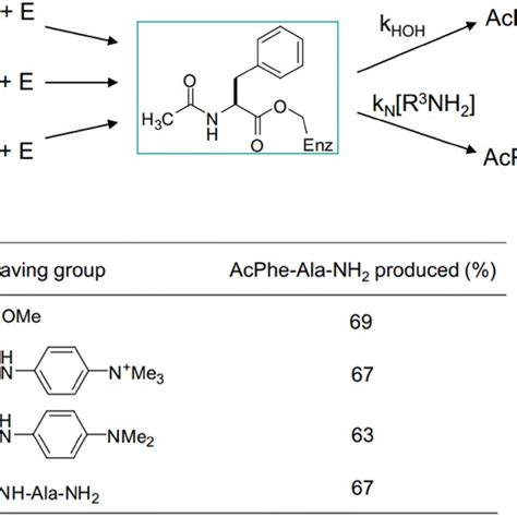 Partitioning Of A Common Acyl Enzyme Intermediate By Water And M