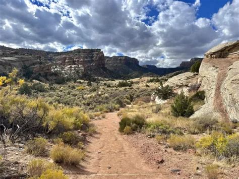 Best Trails And Hikes In Grand Junction Alltrails