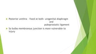 URETHRAL INJURY AND URETHRAL CARUNCLE.pptx