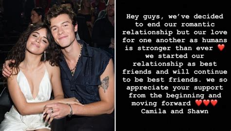 Shawn Mendes And Camila Cabello Announce Break Up With Joint Statement On Instagram Newshub