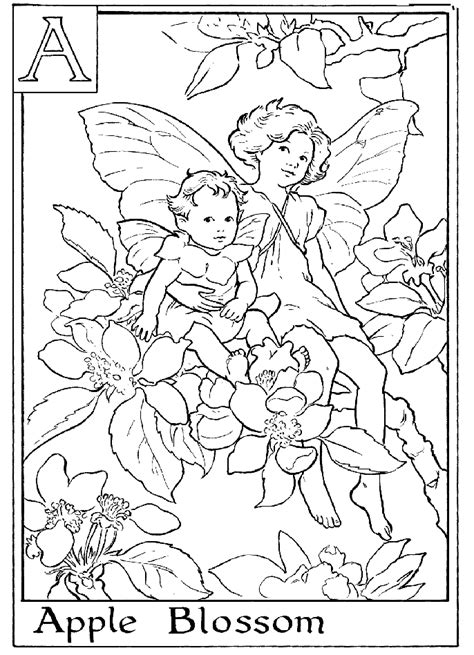 Alphabet Fairy Apple Coloring Page Printable Coloring Pages