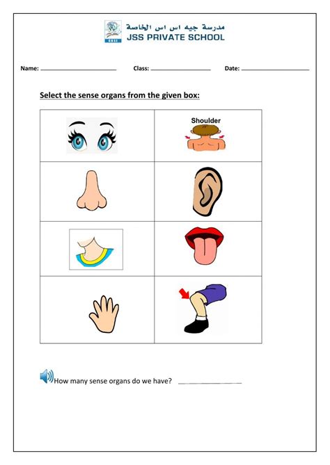 Five Sense Organs Worksheet Live Worksheets 47 Off Nbkomputer