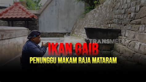 Ikan Gaib Penunggu Makam Raja Mataram Secret Story Youtube