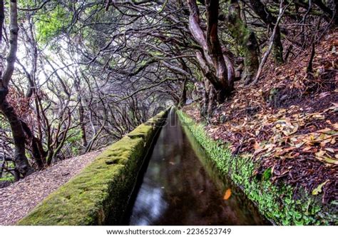 Fontes Levada Calheta Cascade Fountain Stock Photo