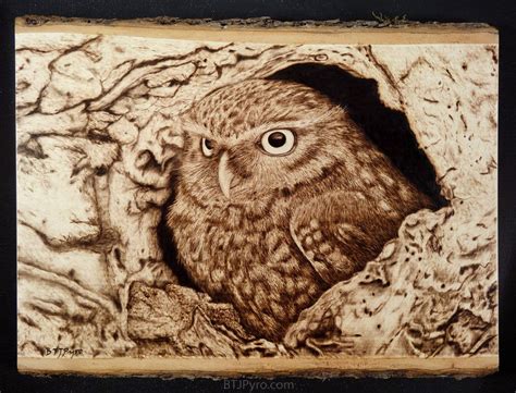 Owl On Deviantart Wood