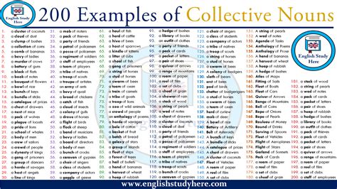 200 Examples Of Collective Nouns English Study Here