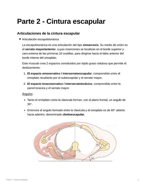 Solution Biomec Nica De La Cintura Escapular Studypool