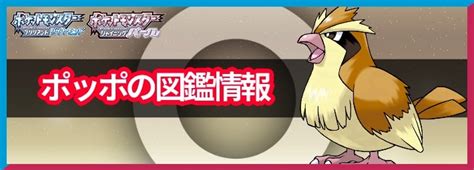 【ポケモンbdsp】ポッポの入手方法と覚える技 Appmedia