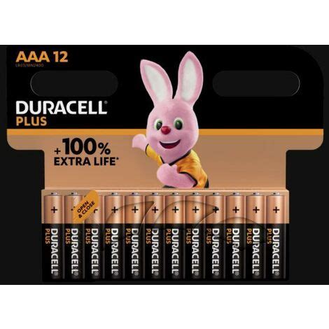 Blister 12 Batterie Ministilo Duracell 100 Extra Durata Mn2400plus B12