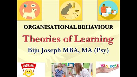 Theories Of Learning In Organizational Behavior Youtube