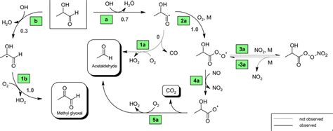 Proposed Mechanism For The Oh Radical Initiated Oxidation Of