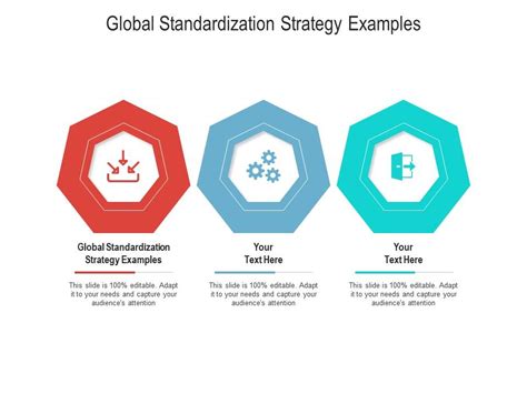 Global Standardization Strategy Examples Ppt Powerpoint Presentation