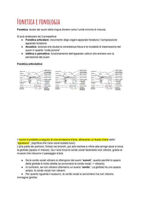 Fonetica E Fonologia Fonetica E Fonologia Fonetica Studio Dei Suoni