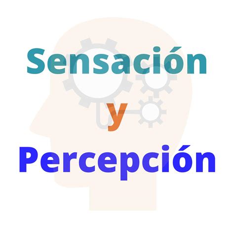 Calaméo Sensación y percepción