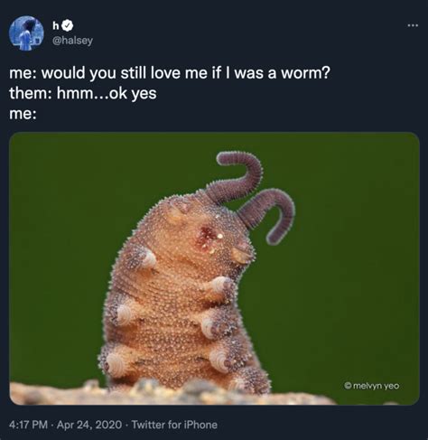 Would You Still Love Me If I Was A Worm Meme Would You Still Love