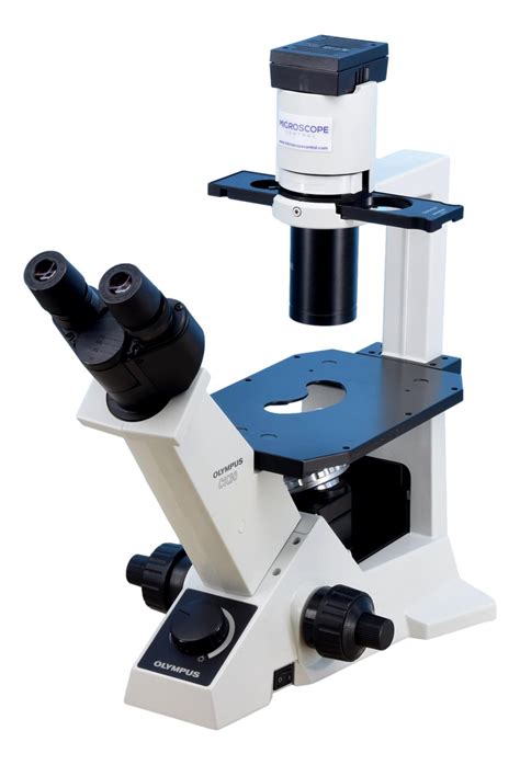 Olympus Ck30 Inverted Microscope Serviced With Warranty Microscope Central