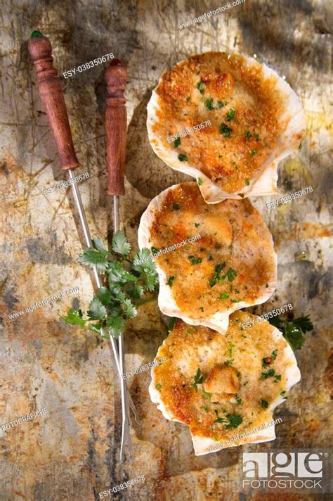 Presentation Of Scallops Au Gratin Baked With Parsley Stock Photo