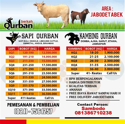 Kambing Qurban Jual Kambing Sapi Untuk Kurban Murah Hewan Qurban