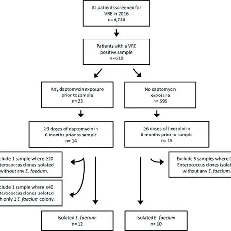 Identification Of Patients Meeting The Daptomycin Exposure And Control Download Scientific