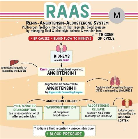 Raas Drugs Medizzy