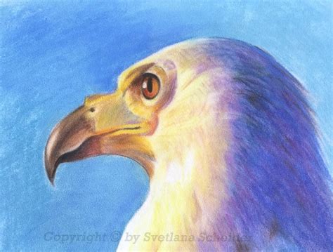 Bald Eagle Painting Bird Art Original Pastel Painting Birds Of Etsy