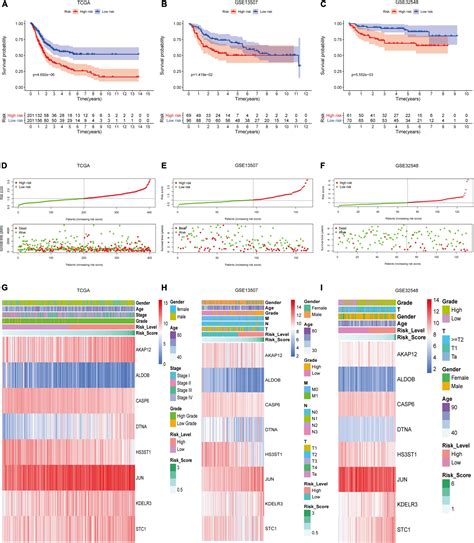 Frontiers Development And Validation Of A Hypoxia Related Signature