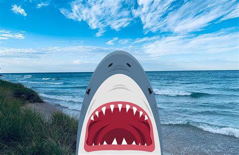 Are There Sharks In Lake Erie Exploring The Unlikely Myth