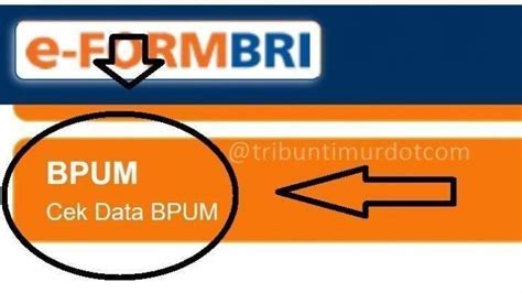 Login Eform Bri Co Id Untuk Cek Penerima Tanpa Harus Daftar Banpres