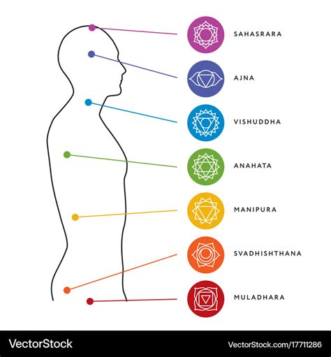 Chakra System Of Human Body Energy Centers Vector Image