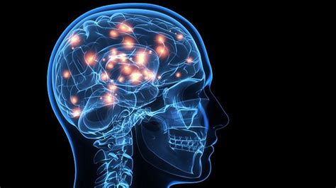 Piracetam Uses & Side-Effects - SelfDecode Drugs