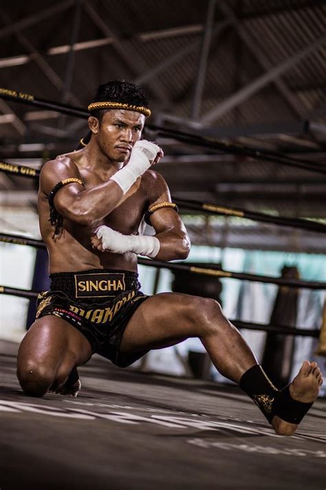 Buakaw Banchamek Muay Thai Muay Thai Muay Boran Martial Arts