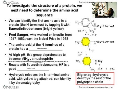 Bioc 2580 Lecture Notes Fall 2017 Lecture 5 Edman Degradation