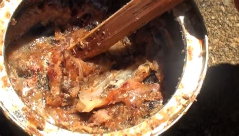 How To Make Pine Resin Glue Sticks Recoil Offgrid