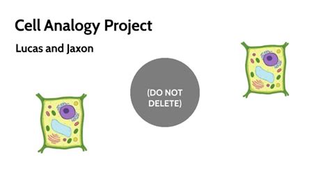 Cell Analogy Project By Lucas Deal On Prezi