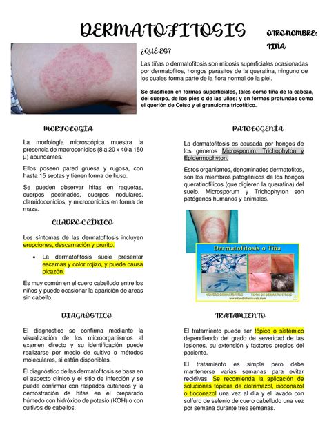 Avance Compendio Dermatofitosis ¿quÉ Es Las Tiñas O Dermatofitosis Son Micosis Superficiales