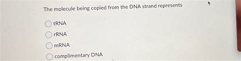 Solved The Molecule Being Copied From The DNA Strand Chegg