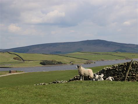 Greenfield Cottage Oakworth Dog Friendly Holiday Cottage In