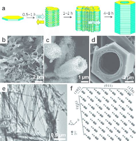 Zno Nanostructures By Sms A Schematic Illustration Of The Growth Of