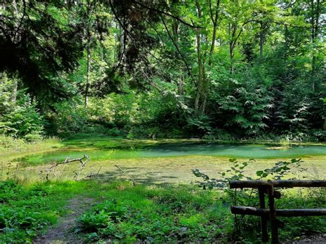 Beskidzkie Morskie Oko P Tl Z Szymbarku Szlak Beskid Niski