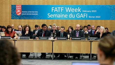 fatf ministers plan  combat financial crime  money laundering