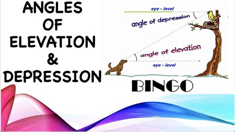 Cxc Math Trigonometry Angle Of Elevation And Depression Youtube