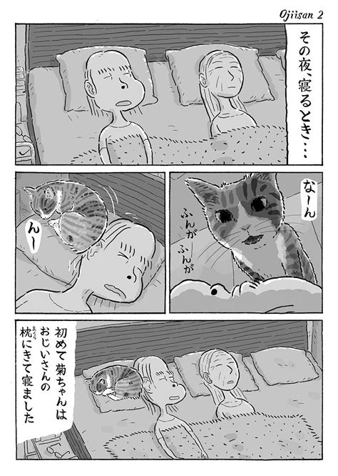 「2ページ猫漫画「菊ちゃんのごはん」 」湊文『猫の菊ちゃん』の漫画