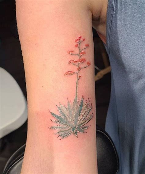 30 Unique Agave Tattoos You Must Love Xuzinuo Page 27