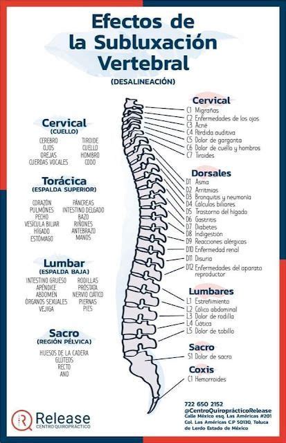 Pin de Brenda Garduño en Enfermería y obstetricia Anatomía médica