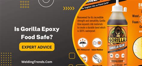 Is Gorilla Epoxy Food Safe Expert Advice