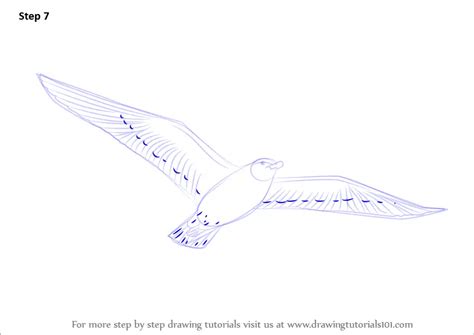 How To Draw A Flying Bird Birds Step By Step