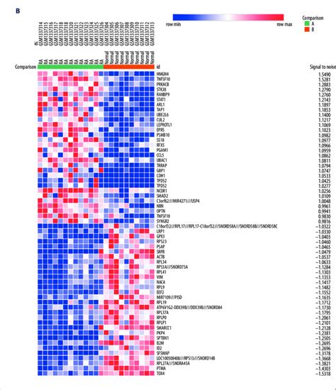 Heatmaps Of The Differentially Expressed Genes Degs Including The 30 Download Scientific